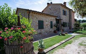 B&B Pino Cedro