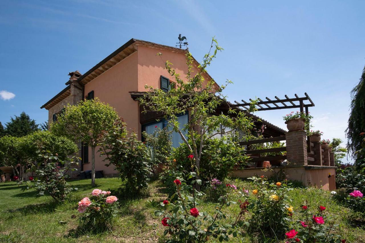 B&B Pino Cedro Avigliano Umbro Esterno foto